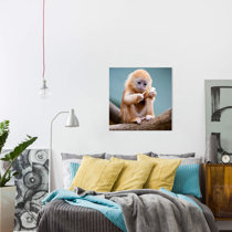 Monkey rocker bauanleitung